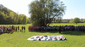 IMG_8370_stitch.jpg