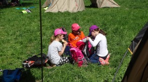 DSC08849.JPG