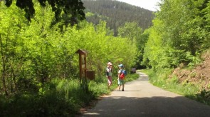 IMG_2336.JPG