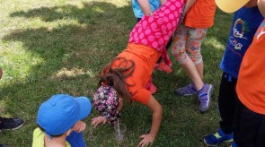 IMG_20180616_121341.jpg