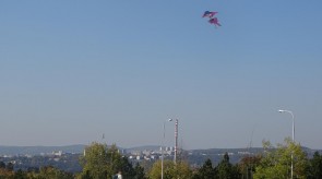 DSC02270.JPG