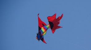 DSC02271.JPG