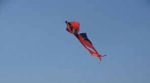 DSC02279.JPG