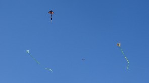 DSC02296_1.JPG