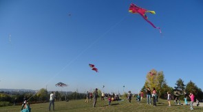 DSC02311_1.JPG
