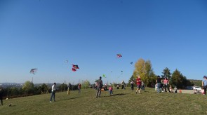 DSC02313_1.JPG
