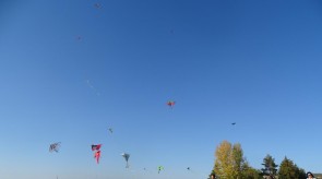DSC02314_1.JPG