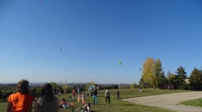 DSC02316_1.JPG