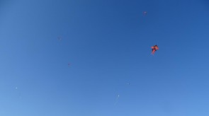 DSC02322_1.JPG