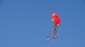 DSC02329.JPG