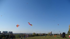 DSC02337.JPG