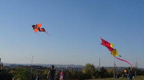 DSC02338_1.JPG