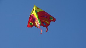 DSC02344.JPG