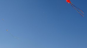 DSC02345.JPG