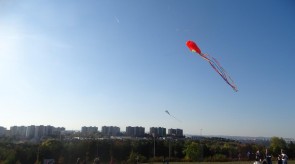 DSC02353.JPG