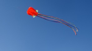 DSC02354.JPG