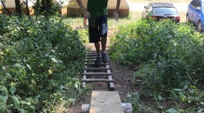 IMG_1209.JPEG