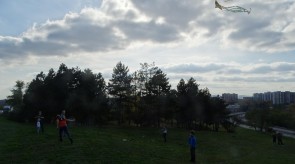 DSC07627.JPG