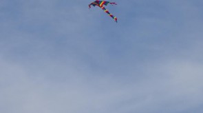 DSC07643.JPG