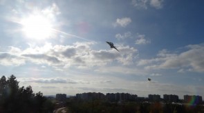 DSC07671.JPG