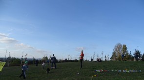 DSC07675.JPG
