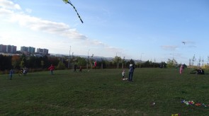 DSC07678.JPG