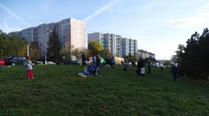 DSC07679.JPG