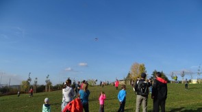 DSC07681.JPG