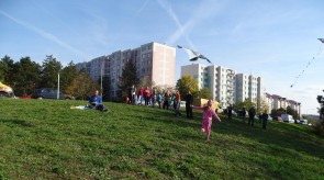 DSC07690.JPG