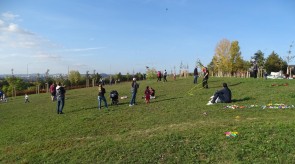 DSC07694.JPG