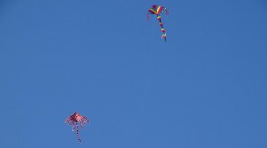 DSC07695.JPG