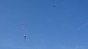 DSC07696_1.JPG