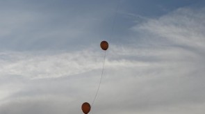 DSC07709.JPG