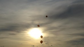 DSC07710.JPG