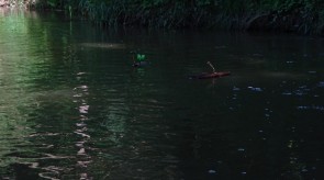 DSC09008.JPG