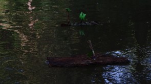 DSC09009.JPG
