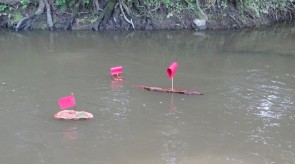 DSC09066_2.JPG