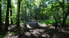 DSC09165.JPG