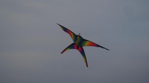 PB140711.JPG
