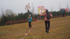 PB140713.JPG