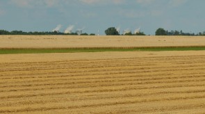 2022_07_06_17_06_49.jpg