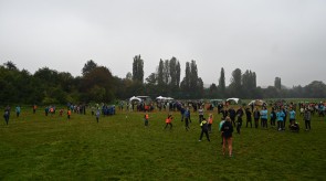 DSC_3470.JPG