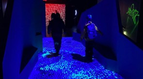 IMG_9512_1.JPG