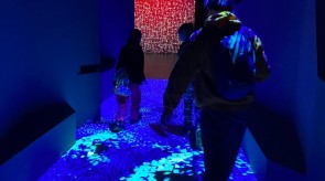 IMG_9514_1.JPG