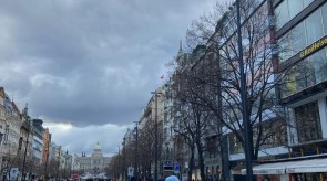IMG_9557_1.JPG