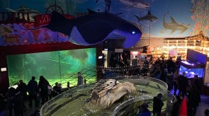 IMG_9599_1.JPG