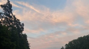IMG_2699.JPEG