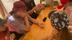 IMG_2884.JPEG