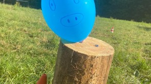 IMG_2887.JPEG