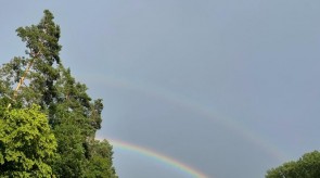 IMG_3982.JPEG